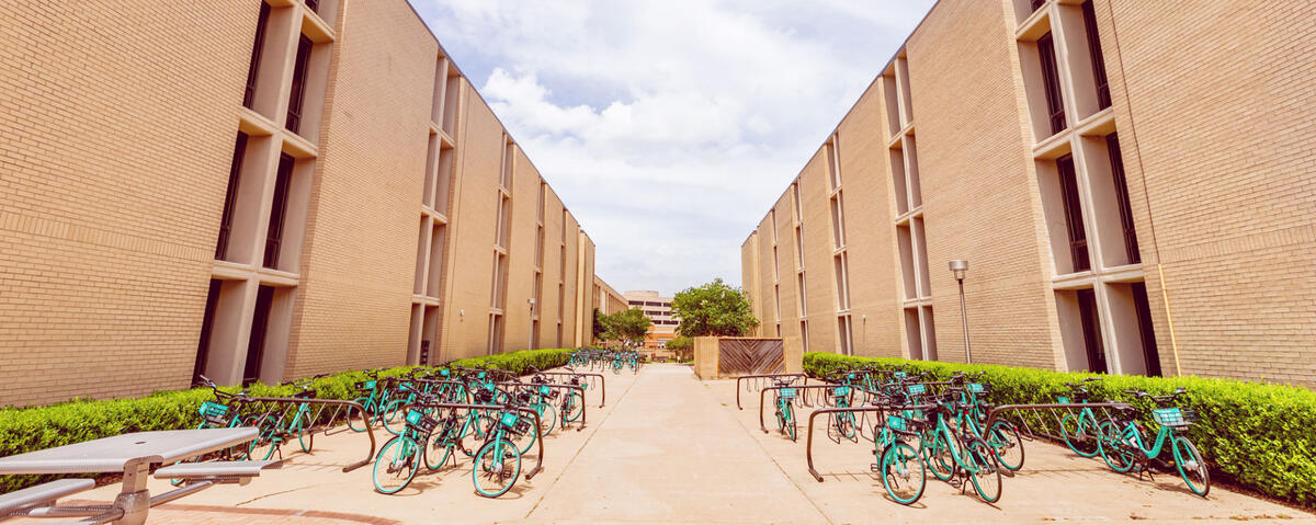 photo of bike racks next to campus dorms